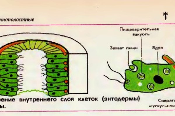 Кракен наркокортель