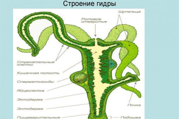 Кракен торговая kr2web in