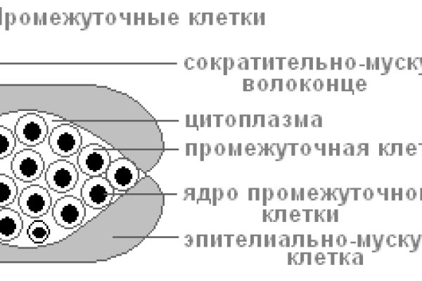 Кракен официальный сайт 2krnk